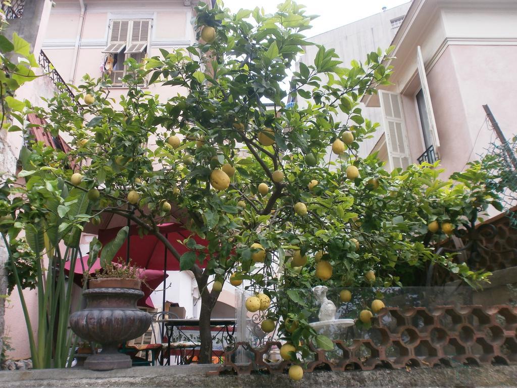 Villa Saphir Ницца Экстерьер фото